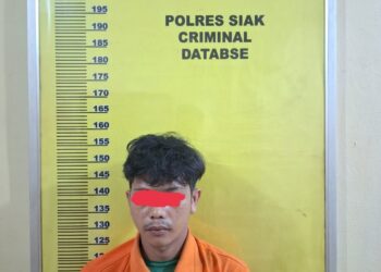 Unit Reskrim Polsek Kandis Polres Siak, Menangkap Pelaku dugaan Penggelapan Puluhan Ton Pupuk Milik PT. ACS