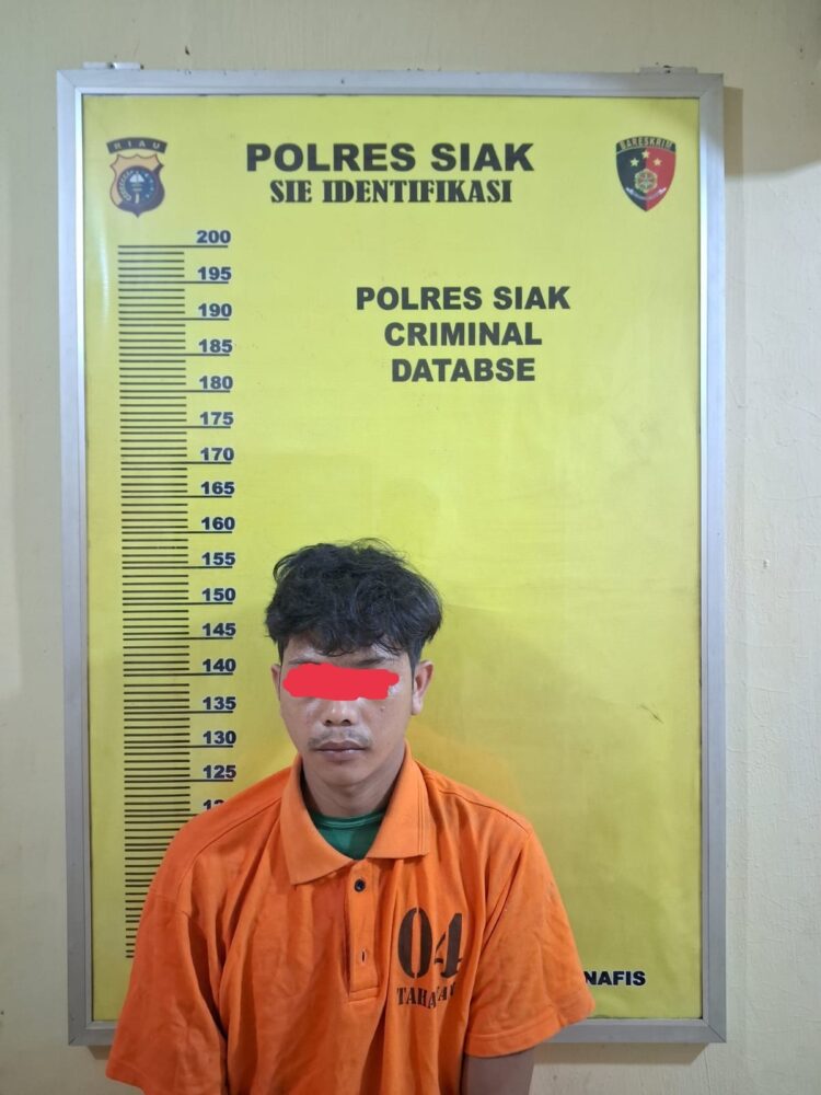 Unit Reskrim Polsek Kandis Polres Siak, Menangkap Pelaku dugaan Penggelapan Puluhan Ton Pupuk Milik PT. ACS