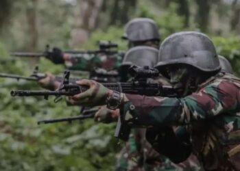 Pasukan KOOPS HABEMA Berhasil Menindak Kelompok OPM