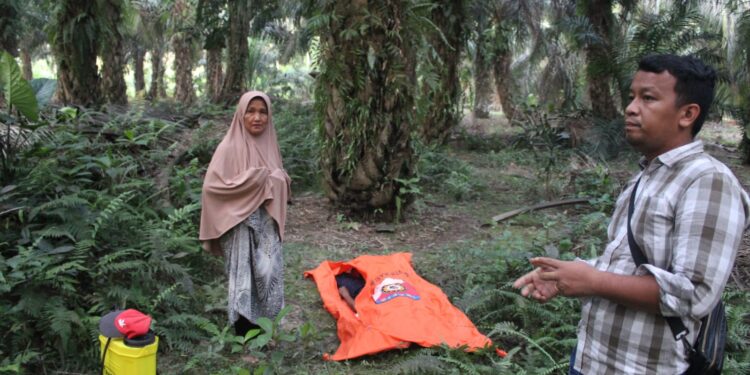Pria Bernama Ahmad 63 Tahun Ditemukan Tewas di Perkebunan Sawit