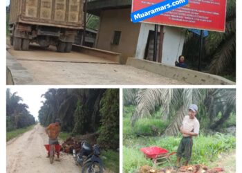 Tim Satuan Gugus Tugas Reforma Agraria (GTRA) Kabupaten Pelalawan Segel Paksa Aktipitas PT MAL , Namun Aktifitas Tetap Jalan