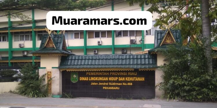 DLHK RIAU HEBAT,,!!! Wartawan Dilarang Meliput di DLH Riau Sebelum Memasukkan Surat Permohonan, Staf Sekretaris” Wartawan Media apapun