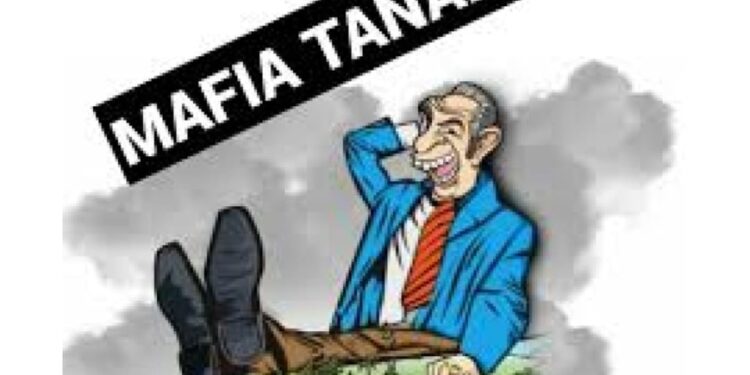 Sengketa Lahan Sawit 240 Hektar Di ” Rampok” Didesa Sontang