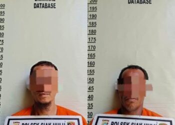 Tukang Panen Sawit Milik PT RSS Ditangkap Security, Dua Lagi DPO