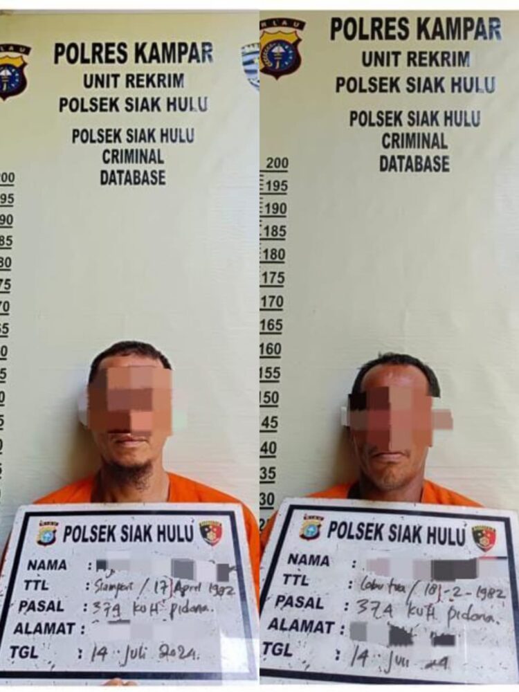 Tukang Panen Sawit Milik PT RSS Ditangkap Security, Dua Lagi DPO