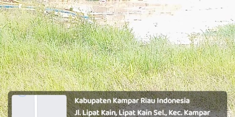 Gawat,,!!! Tambang Emas di Duga Dikampar Kiri  Beroperasi