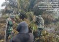 Personel Koramil Jajaran Kodim 0321/Rohil Bersama Tim Gabungan bersinergi Padamkan Titik Kebakaran Api