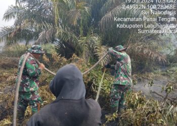 Personel Koramil Jajaran Kodim 0321/Rohil Bersama Tim Gabungan bersinergi Padamkan Titik Kebakaran Api