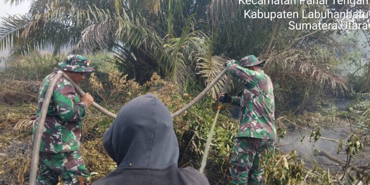 Personel Koramil Jajaran Kodim 0321/Rohil Bersama Tim Gabungan bersinergi Padamkan Titik Kebakaran Api