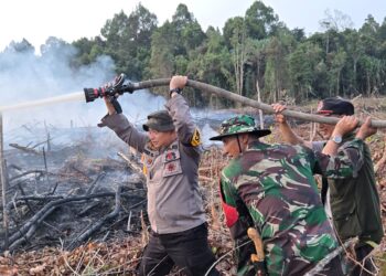 *Dipimpin Langsung Kapolres Siak AKBP Asep Sujarwadi, Tim Gabungan Berhasil Padamkan Api di Tasik Betung*