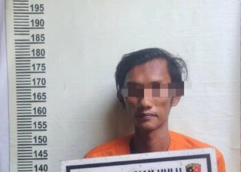 Polsek Siak Hulu Tangkap Pelaku KDRT