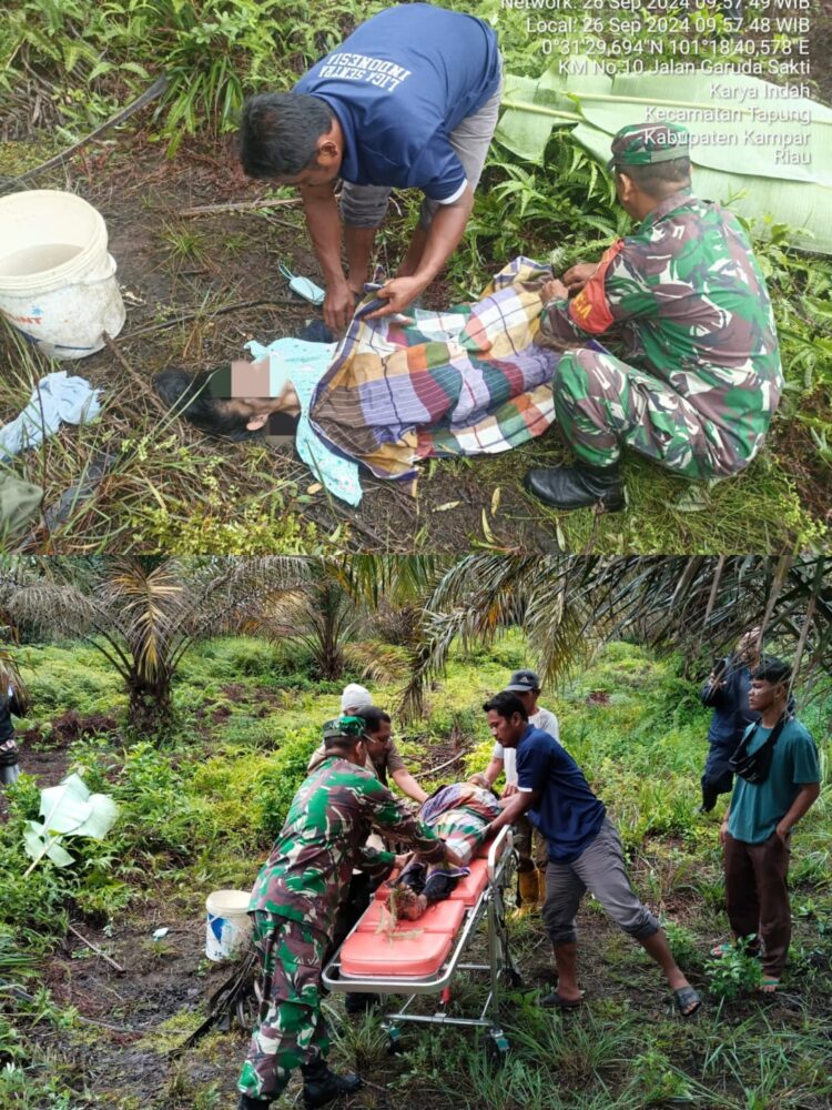Seorang Wanita Ditemukan Sakit dan Kelaparan di Dalam Kebun Sawit PT Tama Jaya Desa Karya Indah