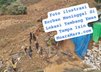 Tambang PETI EMAS Ilegal di Kuansing Menelan Korban Jiwa