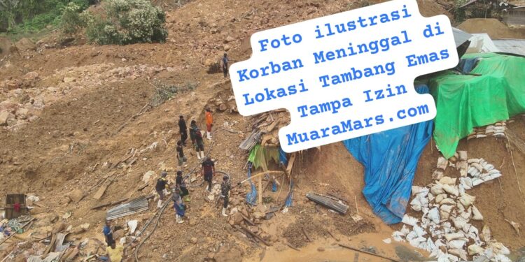 Tambang PETI EMAS Ilegal di Kuansing Menelan Korban Jiwa