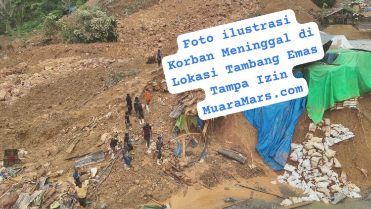 Tambang PETI EMAS Ilegal di Kuansing Menelan Korban Jiwa