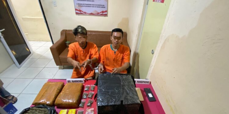 Satres Narkona Polres Kampar Sikat Pengedar Daun Ganja Kering Berat 2590 Gram di SPBU Teratak Buluh