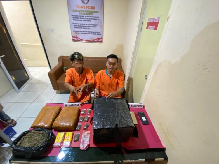 Satres Narkona Polres Kampar Sikat Pengedar Daun Ganja Kering Berat 2590 Gram di SPBU Teratak Buluh