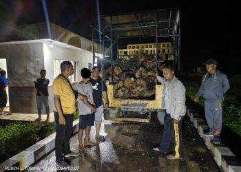 Polsek Benai Ungkap Kasus Pencurian Buah Kelapa Sawit Milik PT DPN