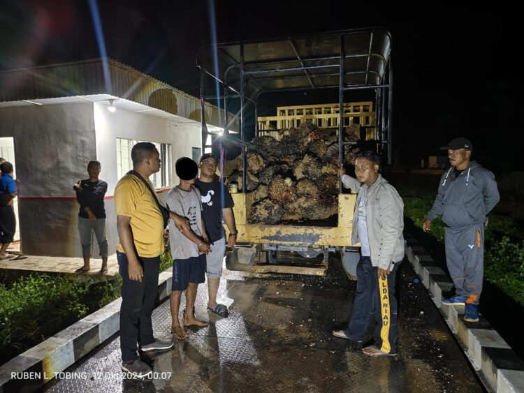Polsek Benai Ungkap Kasus Pencurian Buah Kelapa Sawit Milik PT DPN
