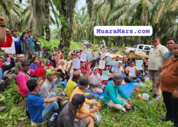 Gaji Koperasi Rp 900 Ribu Perbulan di Kampar” Mengundang Polemik