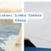 Limbah Tambak Udang Bos Amin di Babel Induk Ancam Kehidupan Warga