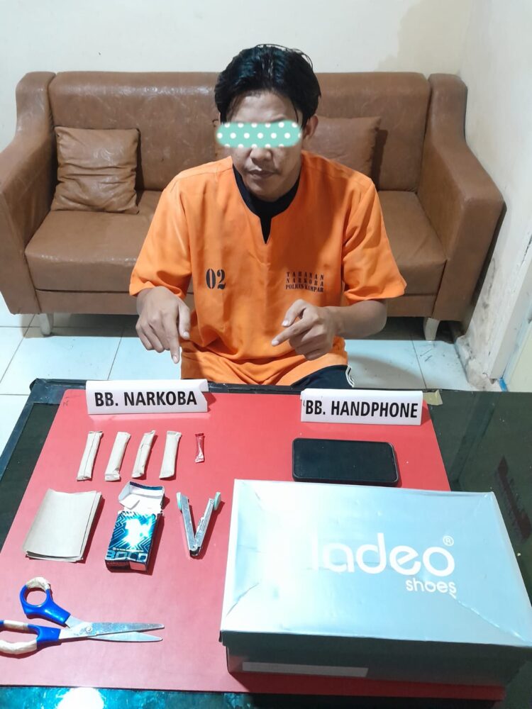 Tim Opsnal Sat Resnarkoba Polres Kampar Tangkap Pelaku dan 5 Paket Daun Ganja Kering