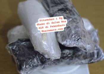 Tim Subdit II Direktorat Reserse Narkoba (Ditresnarkoba) Polda Riau Gagalkan Peredaran Sabu Seberat 1 kg yang Dipasok dari Malaysia