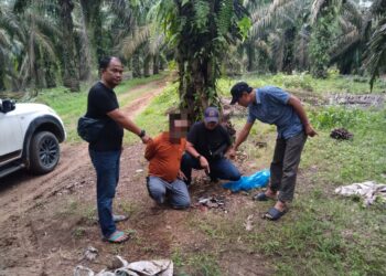 Polsek Tapung Hulu Ungkap Kasus Pembunuhan Sadis di Kebun Tandun