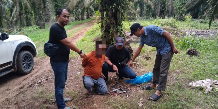 Polsek Tapung Hulu Ungkap Kasus Pembunuhan Sadis di Kebun Tandun