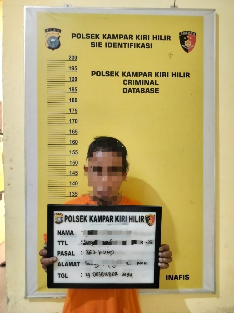 Polisi Proses Pelaku Maling 31 Tandan Buah Sawit”