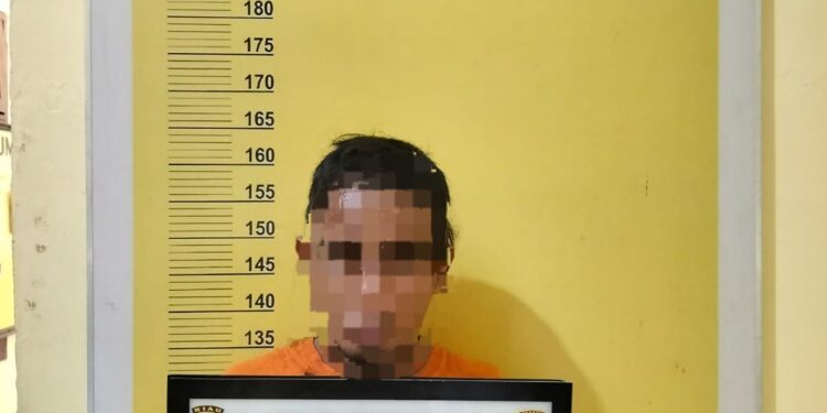 Polisi Proses Pelaku Maling 31 Tandan Buah Sawit”