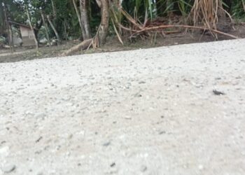 DPC Laskar Rumpun Masyarakat Riau Bersatu Kabupaten Kampar Penuhi Undangan Audiensi BPD Desa Sekijang, Terkait Jalan Semenisani Desa Asal Jadi