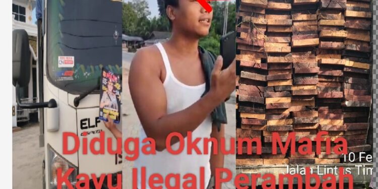 Big Bos A Siregar Diduga Gembong Mafia Kayu Ilegal” Tidak Takut Hukum” Sombongnya