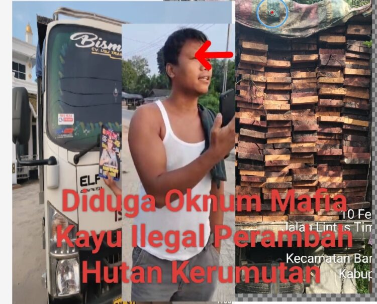 Big Bos A Siregar Diduga Gembong Mafia Kayu Ilegal” Tidak Takut Hukum” Sombongnya