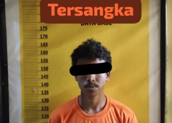 Polsek Singingi Hilir Ungkap Kasus Pencurian Sepeda Motor di Desa Petai