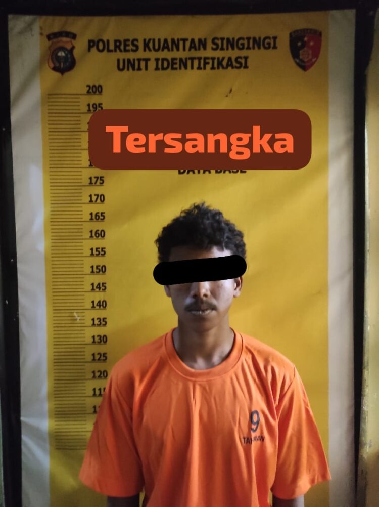 Polsek Singingi Hilir Ungkap Kasus Pencurian Sepeda Motor di Desa Petai