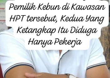 Viralnya Penangkapan Pekerja di Kawasan HPT, Kini Terkuak Sejumlah Nama Pemilik Kebun Dalam Kawasan di Desa Pangkalan Indarung Kuansing