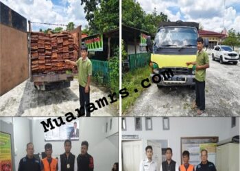 Gakkum Kehutanan Bongkar Peredaran Kayu Ilegal Dariu Suaka Margasatua Kerumutan, Provinsi Riau