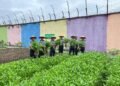 Dukung Program Ketahanan Pangan, Lapas Klas IIA Pekanbaru Panen Sayur