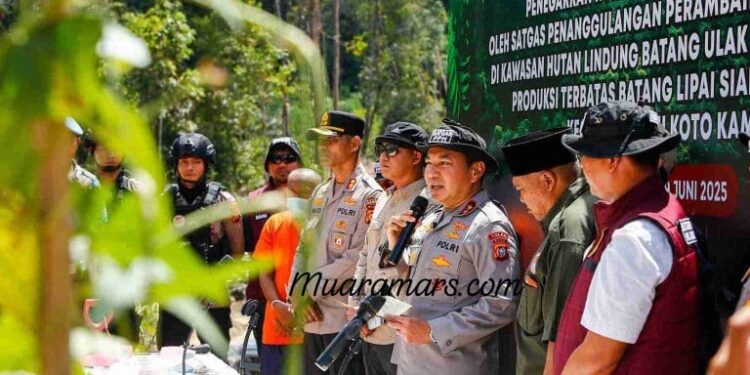 Satgas PPH (Polda Riau)  Tangkap Ketua Adat Kampar dan Tiga Pelaku Jual Beli Hutan Lindung