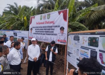 Mendapat Respon Positif, Syahrul Aidi Bakal Kawal Hasil Kunker Komisi V DPR RI ke Riau