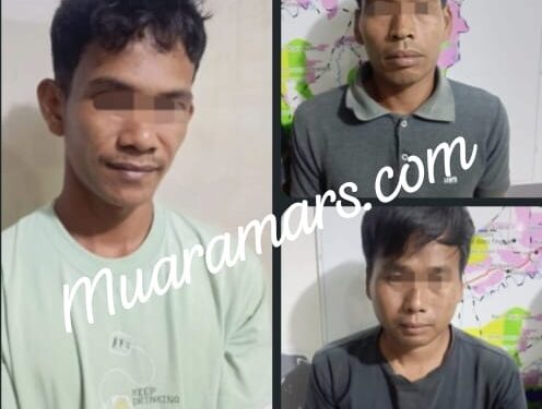 Polres Inhu Amankan Pelaku, Angkut Olahan Kayu dari Kawasan Hutan