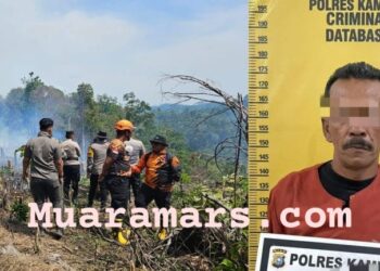 Pelaku Pembakar Lahan Ditangkap Polres Kampar