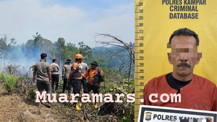 Pelaku Pembakar Lahan Ditangkap Polres Kampar