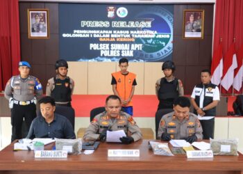 Polres Siak Ungkap Kasus Peredaran Ganja Kering seberat 2,2 Kg di Sungai Apit
