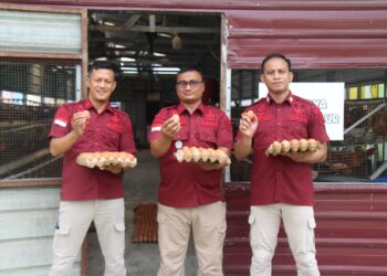 Wujudkan Ketahanan Pangan Nasional, Lapas Pekanbaru Raih Prestasi: Produksi Telur Ayam 300 Butir per Hari