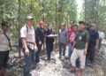 Tim OPD Kuansing dan KUD Turun Ke TKP Lahaan yang Dikuasai PT RAPP selama 27 tahun