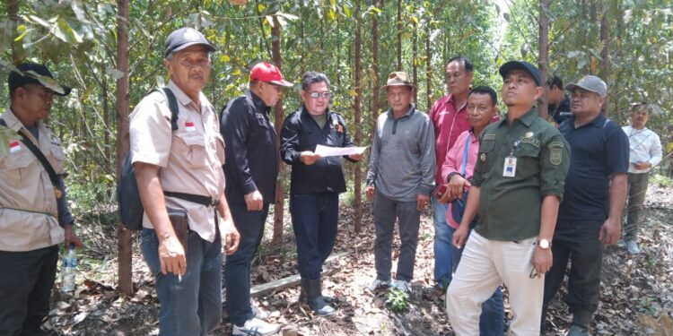 Tim OPD Kuansing dan KUD Turun Ke TKP Lahaan yang Dikuasai PT RAPP selama 27 tahun