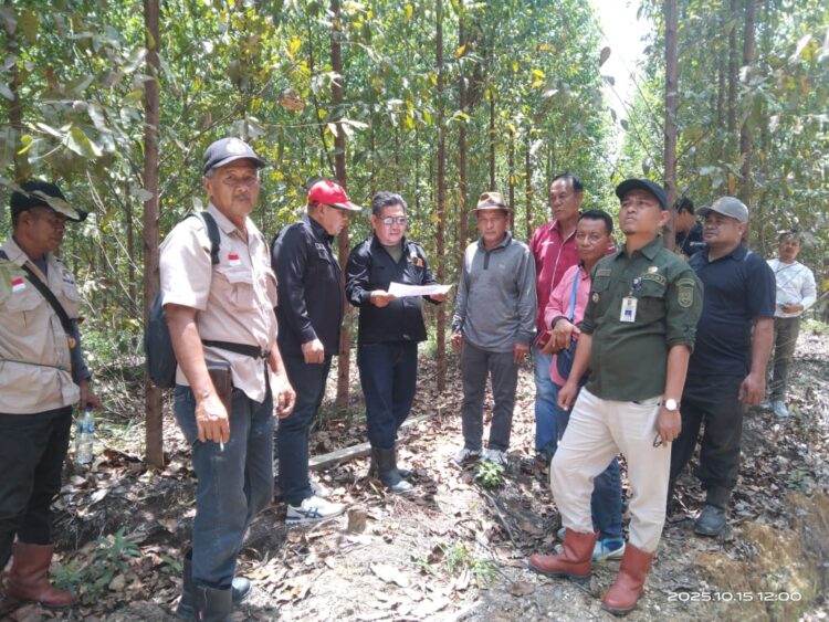 Tim OPD Kuansing dan KUD Turun Ke TKP Lahaan yang Dikuasai PT RAPP selama 27 tahun