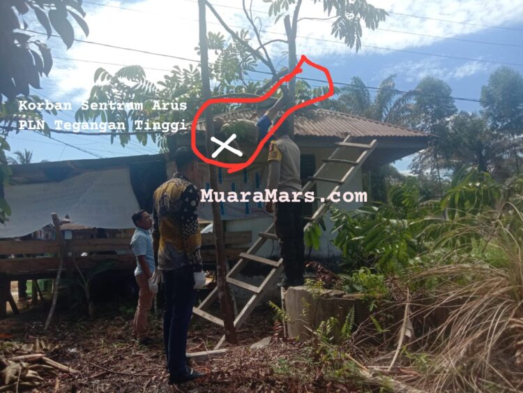 Ambil Buah Matoa, Pria 60 Tahun Meninggal Tersentrum Listrik